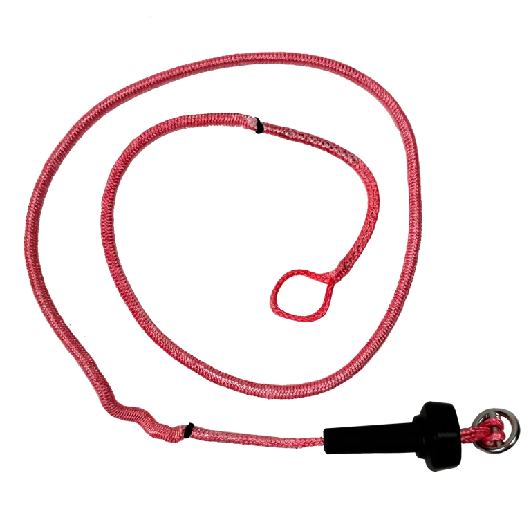 Flagging line DreamStick X 2025